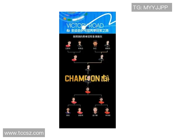 杭州乒乓球队引领潮流最新乒乓球战术TOP10全面解析